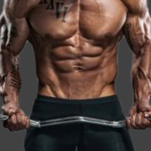 Gym Workout Anatomy Diet Plan